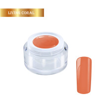 gel color unghii amo