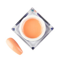 gel pictura mollylac