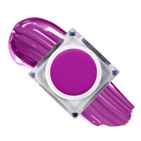 gel pictura mollylac