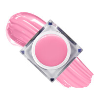 gel pictura mollylac